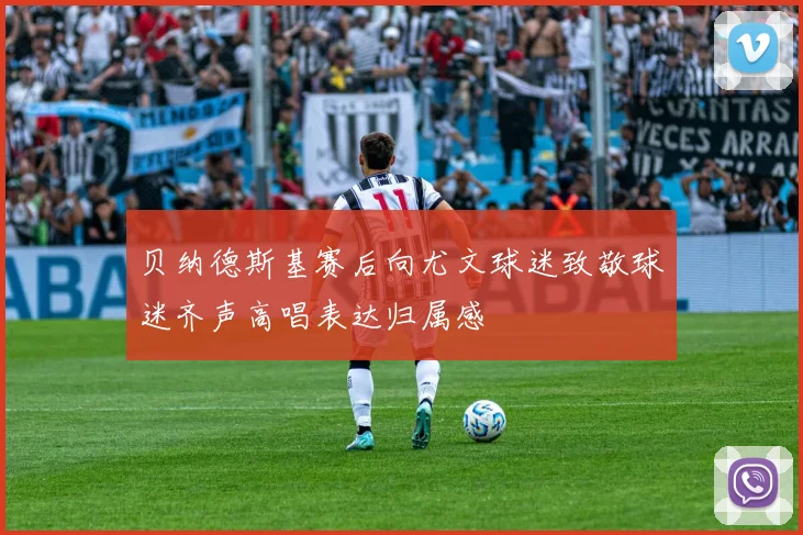 贝纳德斯基赛后向尤文球迷致敬球迷齐声高唱表达归属感