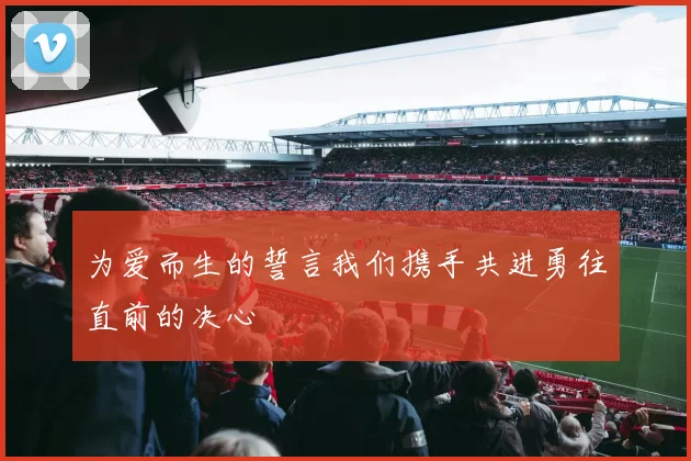 为爱而生的誓言我们携手共进勇往直前的决心
