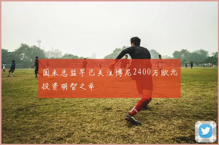 国米总监早已关注博尼2400万欧元投资明智之举