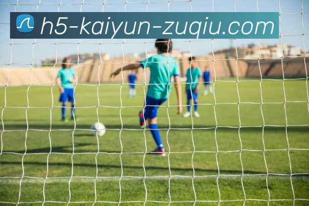 开云足球APP 高清赛事图